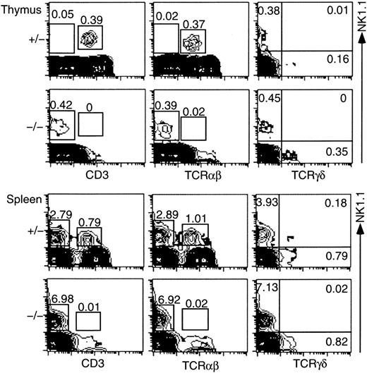 Fig. 1. NK1.1 expression on thymocytes and splenocytes from control (ZAP-70+/−) and ZAP-70−/− mice. / Thymocytes and splenocytes were stained with PE–anti-NK1.1 and FITC–anti-CD3, or FITC–anti-TCRαβ, or with PE–anti-NK1.1 and biotin–anti-TCRγδ/streptavidin-FITC. Expressions of NK1.1 (vertical) and CD3, TCRαβ, or TCRγδ (horizontal) are illustrated. Proportions of NK1.1+ CD3− and NK1.1+ CD3+ (left column), NK1.1+TCRαβ− and NK1.1+ TCRαβ+(middle column), and NK1.1+ TCRγδ−, NK1.1+ TCRγδ+, and NK1.1−TCRγδ+ (right column) cells are indicated in the figures. Results are representative of 6 independent experiments.