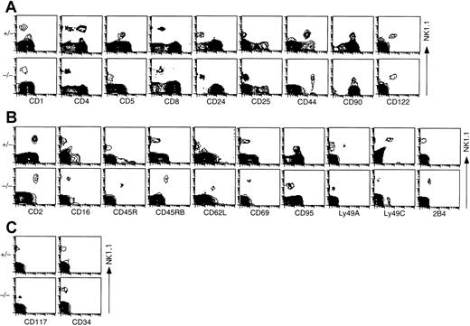 Fig. 3. Phenotype of NK1.1+ thymocytes from control and ZAP-70−/− mice. / Thymocytes were stained with PE–anti-NK1.1 or FITC–anti-NK1.1 and various cell surface markers as described in “Materials and methods.” Expressions of NK1.1 (vertical) and other markers (horizontal) on thymocytes are illustrated: expressions of NK1.1 and T-cell surface markers (A), NK surface markers (B), and stem cell markers (C). Results are representative of 6 independent experiments.