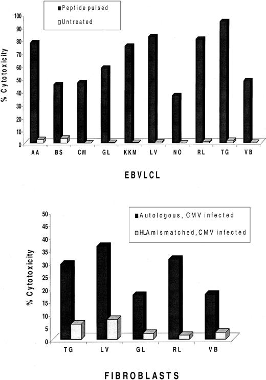 Fig. 1. IVS of PBMNCs from HLA-A*0201 and CMV+volunteers. / Peripheral blood was magnetically depleted of CD4, CD16, and CD56 T lymphocytes and incubated for 12-14 days with autologous APCs pulsed with pp65495-503 peptide as described in “Materials and methods.” At the top of the figure, CRAs were conducted with IVS effectors, together with autologous and mismatched EBVLCLs at an E/T of 25:1 or 5:1 (data not shown), that were either peptide-pulsed or untreated as indicated in the legend. Percentages shown in the histogram reflect specific cytotoxicity after subtraction of values with mismatched EBVLCLs. At the bottom of the figure, an additional aliquot of IVS effectors was incubated with autologous or mismatched CMV-infected fibroblasts at an E/T of 50:1 or 10:1 (data not shown). Not all IVS cultures generated enough effector cells to conduct both EBVLCL and fibroblast experiments.
