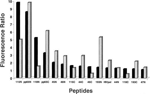 Fig. 6. Flow-cytometric measurement of HLA-Ig dimer binding to TCCs mediated by antigen analogs and control peptides. / We incubated 10.0 μg HLA-Ig dimers with 660-fold molar excess peptide for 3 days at 4°C. Aliquots of 1.0 μg peptide-loaded dimers were mixed with 0.2 million of either TCC 3-3F4 (▪) or VB57 () and incubated as described in “Materials and methods.” As controls, dimers were also loaded with the pp65495-503 native peptide, an irrelevant peptide (pp65 B*0702 epitope), or 2 μL PBS/0.02% NaN3 in all experiments (data not shown). Cells were washed in PBS/2% FBS/0.02% NaN3 (WB) and subsequently stained with 0.9 μL per sample of goat antimouse IgG1-PE (phycoerythrin) (Caltag, Burlingame, CA). After 2 additional washings in WB, cells were analyzed on the FACSCalibur. The fluorescence ratio between the mean fluorescence of the peptide-loaded dimers and the mean fluorescence of the PBS/0.02% NaN3–loaded control dimers was calculated. Peptide names ending in N are amidated, and those ending in C are free acids. Experiments were repeated twice with similar results. Measurements with both cell lines were normalized so they could be displayed on the same axis. HIVpol = HIVpol (18-27), which indicates aa position in HIV polymerase protein.
