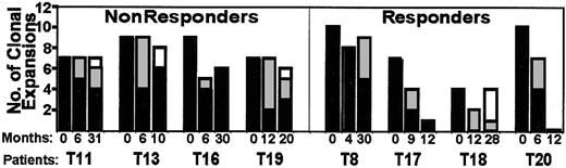 Fig. 2. Longitudinal tracking of clonal expansions. / For patients with successful therapy (responders), there was a significant decrease in the number of overrepresented CDR3 peak sizes. Clonal expansions that were stable over the indicated time of follow-up are black. New clones (those not found dominant in previous sample) are gray or white. Note the repertoire shift for patients T18 and T19. A dedicated algorithm was used to track overrepresented areas (compared to control profiles) among all Immunoscope profiles from the study.