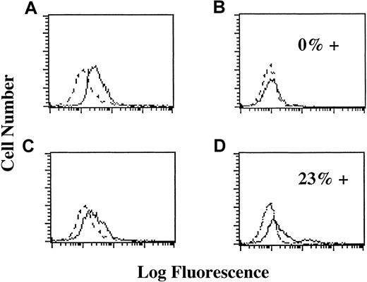 Fig. 4. TIMP-1 induces further B-cell differentiation in IL-10–independent manner:. / Y axis: Cell number. X axis: Log fluorescence staining with FITC-labeled antibody. Dotted lines indicate staining with isotype control. Solid lines indicate staining with anti-CD77. (A) Expression of CD77 in JD38 cells (do not express TIMP-1 or IL-10 protein). Cells express CD77. (B) Expression of CD77 in TIMP-1 JD38 clone 24 (expresses and secretes TIMP-1 and IL-10). Cells are negative for CD77 (0% positive for CD77). (C) Expression of CD77 in TIMP-1 JD38 clone 24 after 48-hour incubation with neutralizing anti–TIMP-1 antibody (no active TIMP-1). CD77 expression up-regulated. (D) Expression of CD77 in JD38 cells incubated with rIL-10 (no TIMP-1, active IL-10). Cells express CD77 (23% of the cells stain higher with anti-CD77 than with isotype control).
