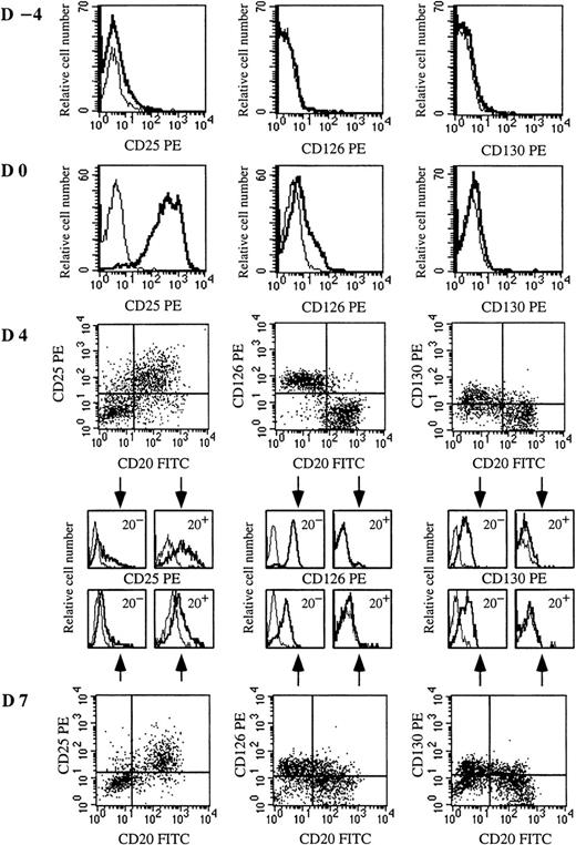 Fig. 3. IL-6Rαβ (CD126 and CD130) and IL-2Rα (CD25) are up-regulated on plasmablasts or CD40-activated B cells, respectively. / Resting memory B cells were cultured as described in Figure 1. Expression of CD25, CD126, and CD130 was determined on resting memory B cells (day −4), CD40L-activated B cells (day 0), plasmablasts (day 4), and plasma cells (day 7). IL-2R and IL-6R expression was determined in simple staining at days −4 and 0 because the whole population was CD20+. From day 2, IL-2R and IL-6R expression was determined in double-staining with anti-CD20–FITC and anti-CD25–PE mAbs or anti-CD20–FITC and anti-CD126–PE or anti-CD20–FITC and anti-CD130–PE mAbs, respectively. Overlay histograms represent the immunofluorescence of CD25, CD126, or CD130 (thick line) and the control (thin line). Results show 1 experiment representative out of 4.