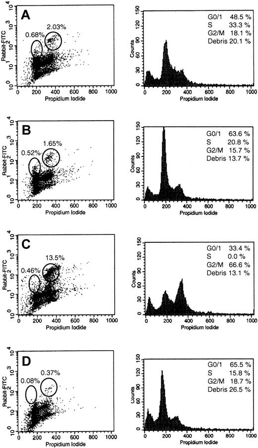 Fig. 9. Effects of U0126 or FTI-277 treatment for 36 hours on the cell-cycle–dependent activation of MEK-1/2. / NB-4 cells were incubated in the absence or the presence of 50 μM U0126 or 20 μM FTI-277. After 36 hours, double staining with propidium iodide and an antibody specific for activated PP-MEK-1/2 was performed as described in “Materials and methods.” Representative cell-cycle profiles (left) and FACS profiles of the double staining (right) are shown. (A) Untreated NB-4 cells; (B) solvent-treated (DMSO) NB-4 cells; (C) NB-4 cells treated with 20 μM FTI-277; (D) NB-4 cells treated with 50 μM U0126. NB-4 cells treated with FPT-3 are not shown because of nearly complete apoptosis at this time point.