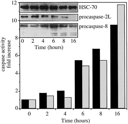 Fig. 1. Exposure of U937 cells to CH11 anti-Fas Abs activates both caspase-2L and caspase-8. / The U937 cells were exposed to 50 ng/mL CH11 Ab (+ 0.8 μg/mL CHX) for indicated times. The ability of cell extracts to cleave VDVAD-AFC (▪) and IETD-AFC (░) substrates was measured and the expressions of procaspase-2L, procaspase-8, and caspase-8 active fragments were studied by Western blot. An antihuman HSC70 Ab was used for loading control.