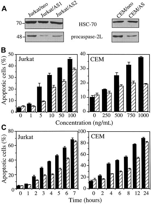 Fig. 6. CASP2L/AS transfection delays anti-Fas Ab–mediated apoptosis in Jurkat and CEM cell lines. / (A) Western blot analysis of procaspase-2L in Jurkat (Jurkat/AS1 and Jurkat/AS2) and CEM (CEM/AS) mixed cell populations compared to those transfected with the empty vector (Jurkat/neo and CEM/neo). (B, C) Jurkat and CEM cells, transfected with either the empty vector (black bars) or the CASP2L/ASvector (hatched bars) were exposed for 3 hours to indicated concentrations of CH11 Ab (B) or to 50 ng/mL and 1 μg/mL CH11 Ab concentrations, respectively, for indicated times (C). Apoptosis was determined by Hoechst 33342 staining (mean ± SD of 3 independent experiments).