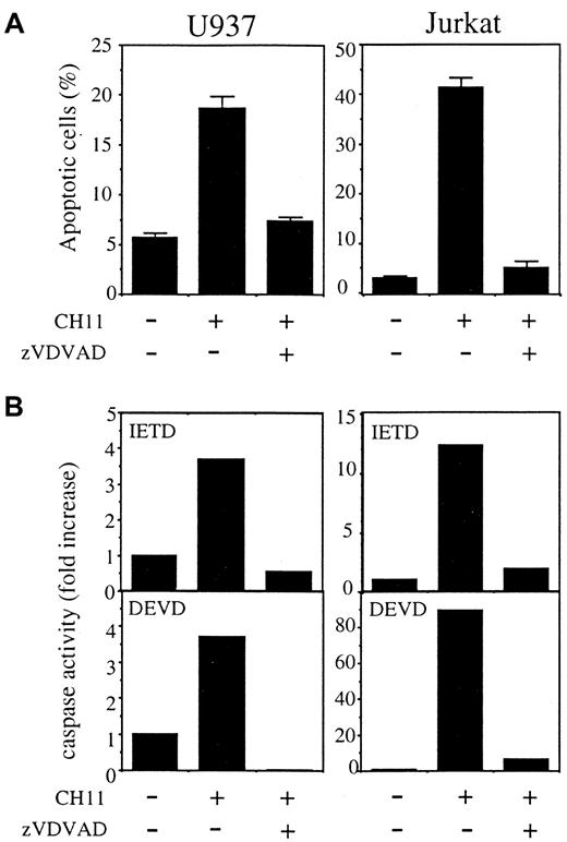 Fig. 8. The caspase-2 permeant inhibitor Z-VDVAD-fmk prevents Fas-induced apoptosis of parental U937 and Jurkat cells. / Z-VDVAD (50 μM) was added to cell culture in combination with CH11 anti-Fas Abs (50 ng/mL), in the presence (U937) or absence (Jurkat) of CHX (0.8 μg/mL) for 3.5 hours. (A) Apoptosis was determined by Hoechst 33342 staining of nuclear chromatin (mean ± SD of 3 experiments). (B) DEVDase and IETDase activities were measured as initial velocities. Results were related to those obtained in untreated cells (one representative of 2 experiments).