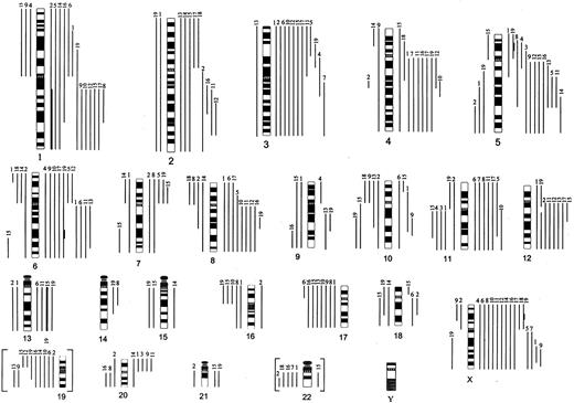 Fig. 1. Summary of CGH results obtained in 19 cases of LPHD. / Chromosomal gains are shown on the right side of the ideogram and losses on the left side. High-level amplifications (average values more than 2.0) are shown in thick bars. The number on top of each line refers to the case number (Table 1). Chromosomal imbalances of critical regions of chromosomes 19 and 22 excluded from final calculation are shown here in brackets.