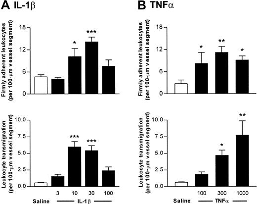 Fig. 1. Dose-response relationship of leukocyte responses induced by IL-1β and TNFα in murine cremasteric venules. / Wild-type mice were treated either with intrascrotal saline or with IL-1β (3 to 100 ng) (A) or TNFα (100 to 1000 ng) (B) 4 hours before the cremaster muscle was prepared for intravital microscopy. Upper and lower panels show leukocyte firm adhesion and transmigration, respectively, from the same experiments. The data represent mean ± SEM (n = 4 to 5 mice per group; *P < .05, **P < .01, ***P < .001).