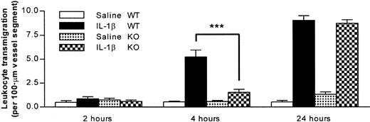 Fig. 3. Time course of neutrophil transmigration induced by IL-1β in PECAM-1–deficient and wild-type animals. / PECAM-1–deficient and wild-type mice were treated with intrascrotal saline or IL-1β (30 ng) 2, 4, and 24 hours before the cremaster muscle was prepared for intravital microscopy. The data represent mean ± SEM (n = 3 animals for 2- and 24-hour groups and n = 8 for the 4-hour group; ***P < .001).