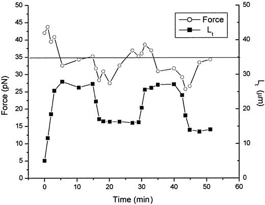 Fig. 4. Time course of force relaxation after lengthening and shortening of the tether. / Both the tether length (lower curve, filled symbols) and tether force (upper curve, open symbols) are shown as functions of time. The equilibrium force for this tether is between 34 and 35 pN. This value is approached after the initial formation of the tether and again after successive lengthening and shortening of the tether length. This behavior is characteristic of a system in thermodynamic equilibrium.