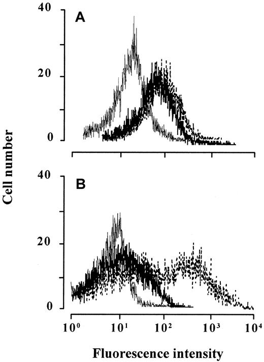 Fig. 3. Chemokine-induced CCR2 and CCR5 internalization on monocytes. / Monocytes immediately after isolation (A) or cultured overnight (B) were treated with 1 μM eotaxin (thick line), the agonists (thin line) MCP-1 (A) or RANTES (B), or medium alone (broken line) for 60 minutes, stained with anti-CCR2 (A) or anti-CCR5 (B), and analyzed by flow cytometry. The histograms show the fluorescence intensity of relative cell number. Tracings are representative of 3 experiments performed with monocytes from different donors.