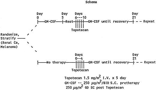 Fig. 1. Schema for treatment with GM-CSF priming, topotecan, and postchemotherapy GM-CSF.