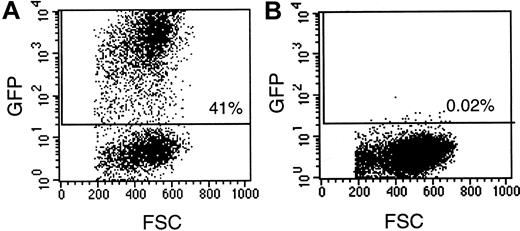 Fig. 1. Assessment of eGFP expression by rhesus CD34+ cells transduced with the LZRS/eGFP vector. / CD34+ cells were transduced for 3 days with LZRS/eGFP and evaluated by flow cytometry for expression of eGFP. (A) Transduced cells; (B) untransduced cells. FSC indicates forward scatter.