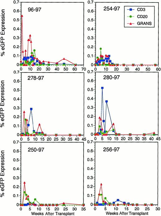 Fig. 3. Quantitation of eGFP expression in lymphocytes and granulocytes in macaques following reinfusion of transduced CD34+ cells. / Flow cytometric detection of eGFP in CD3+ T cells, CD20+ B cells, and granulocytes at sequential time points after transplantation with autologous CD34+ bone marrow cells transduced with LZRS/eGFP. Reported levels of eGFP expression reflect values obtained after subtraction of the background staining of concurrent negative controls consisting of blood samples from normal animals. Percent eGFP expression in negative controls was always less than 0.1%.