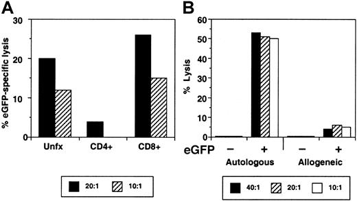 Fig. 5. eGFP-specific CTL activity is mediated by CD8+ lymphocytes and is MHC restricted. / (A) Stimulated PBMCs from Mm 96-97 were obtained at 25 weeks after transplantation, separated into CD4+ and CD8+fractions using immunomagnetic beads, and then examined for eGFP-specific CTL activity using an eGFP-expressing autologous B-LCL. (B) Stimulated PBMCs from Mm 256-97 were examined for their ability to lyse eGFP-transduced (+) or -untransduced (−) autologous and allogeneic B-LCLs.