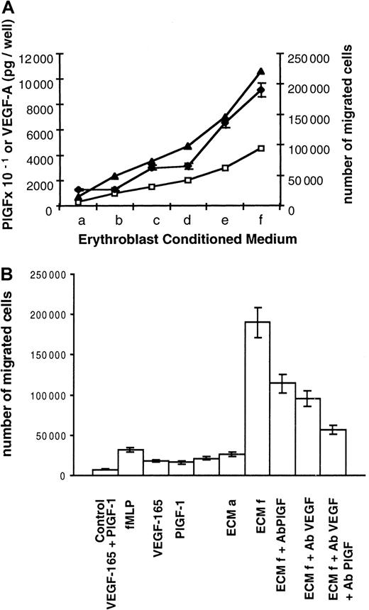 Fig. 3. Induction of human monocyte migration by ECM. / (A) Correlation between monocyte migration and VEGF-A and PlGF levels contained in ECM. Two 105 monocytes obtained from peripheral blood were placed in the upper compartment of a modified Boyden chamber. ECM was collected at day 6 of culture and added to the lower compartment of the chamber. ECM a to ECM f corresponds to increasing ECM quantities. Different ECM volumes (a = 0.6 mL, b = 2 mL, c = 3 mL, d = 4 mL, e = 6 mL, f = 9 mL) were concentrated and used under a final volume of 600 μL so that concentration factors were 1 for a, 3.3 for b, 5 for c, 6.6 for d, 10 for e, and 15 for f. PlGF and VEGF-A contents were determined by ELISA. PlGF picograms per well, VEGF-A picograms per well: levels of PlGF × 10−1(■) and VEGF-A (▴) in the different ECMs. Number of migrated cells (♦) represents the mean number of migrated cells during 3 independent experiments ± SD. (B) Monocyte chemotactic activities of ECM and recombinant factors. Culture medium (control), chemotactic tripeptide fMLP (6 μmoles per well), VEGF-165 (10 ng per well), PlGF-1 (10 ng per well), and both VEGF-165 (10 ng per well) and PlGF-1 (10 ng per well) or ECM were added to the lower compartment. ECM a and f are described in Figure 3A. Anti-PlGF blocking antibodies (ECMf Ab PlGF), anti-VEGF blocking antibodies (ECMf Ab VEGF), or both (ECMf Ab PlGF Ab VEGF) were added to ECMf. Number of migrated cells represents the mean number of migrated cells during 3 independent experiments ± SD.