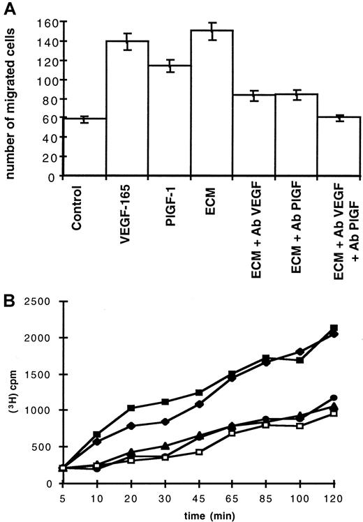 Fig. 4. Migration and permeability of endothelial cells. / (A) Induction of endothelial cells migration by ECM. ECM contained 38 pg/mL VEGF-A and 7 pg/mL PlGF. Chemotaxis of HUAECs was evaluated in the presence of 50 ng/mL VEGF-165, 50 ng/mL PlGF-1, or ECM in the absence (ECM) or in the presence of either anti-VEGF antibodies (ECM + Ab VEGF), anti-PlGF antibodies (ECM + Ab PlGF), or both blocking antibodies (ECM + Ab VEGF + Ab PlGF). Control was cell-free erythroblast culture medium in the absence or presence of 50 μg/mL rabbit preimmune serum (control). Each point represents the mean number of migrated cells and SDs of 3 different experiments. (B) ECM induces permeability of endothelial cells. ECM contained 38 pg/mL VEGF-A and 7 pg/mL PlGF. Cell permeability was measured by inulin passage through the BCE monolayer and evaluated by measuring 3H-inulin efflux (indicated cpm) during a period of 120 minutes. Inulin efflux with 50 ng/mL VEGF-165 was measured in the absence (▪) or in the presence (●) of blocking anti-VEGF antibodies and with ECM in the absence (♦) or in the presence (▴) of blocking anti-VEGF antibodies. Control was cell-free culture medium in the absence or in the presence of 50 μg/mL rabbit preimmune serum (■).