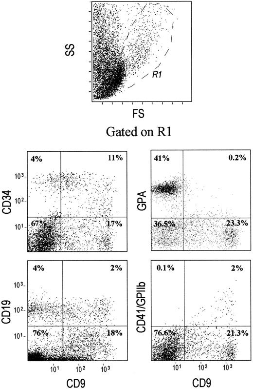 Fig. 1. CD9 is expressed on CD34+, CD19+, and CD41+ cells, but not on GPA+ erythroid precursor cells. / Low-density cells were isolated from human bone marrow, stained with either CD34–PerCP-, CD19–PE-, CD41–PE-, or GPA-FITC-conjugated mAbs and were analyzed by multicolor flow cytometry. An R1 region was drawn by selecting the lymphomononuclear cells and was used for gating. The quads were set up on the isotype-matched controls dot plot. Plots shown are for one experiment representative of 10 performed using different low-density mononuclear bone marrow samples.