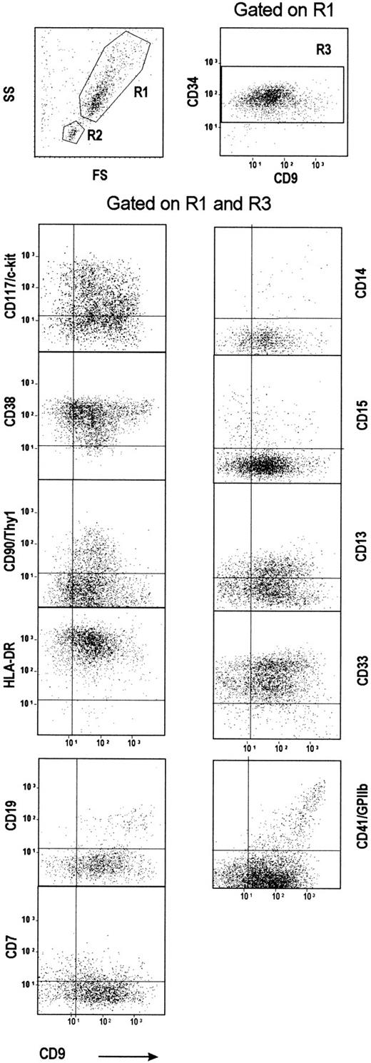 Fig. 2. Purified CD34+ cells with the highest CD9 expression are committed toward either B lymphoid (CD19+) or megakaryocytic (CD41+) lineages. / CD34+ cells were purified from human bone marrow, stained, and analyzed for the expression of CD9 and of various differentiation markers. Two gates were drawn by selecting either CD34+ cells with a high FS/SS value (R1 region) or CD34+ cells with a low FS/SS value (R2 region). A third region, R3, corresponding to CD34+ cells, was drawn on a second CD34-PerCP/CD9-APC dot plot gated on R1. The quads were set up on the isotype-matched controls dot plot. Plots shown are for one experiment representative of 10 performed using different CD34+ bone marrow samples.