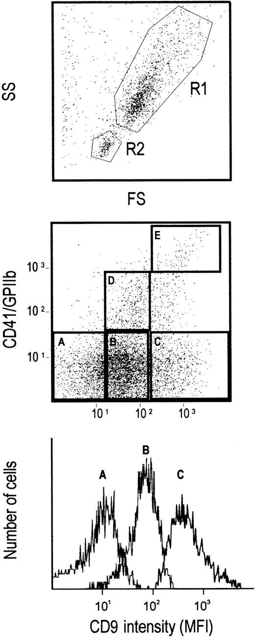 Fig. 3. Cell sorting gates according to CD9 expression. / Purified bone marrow CD34+ cells were gated on the FS/SS high fraction (R1 region) excluding the R2 region, corresponding to the low FS/SS pre-B cell population. CD34+ cells were further sorted according to CD9 expression and excluding CD41+cells. Gates A, B, and C corresponded to the CD9low, CD9mid, and CD9high cell populations, respectively. In some experiments, CD9+CD41+cells were sorted according to CD41 expression; gates D and C corresponded to CD41mid/low and CD41high cells, respectively. The bottom histogram shows the CD9 expression in the A-, B-, and C-sorted populations.