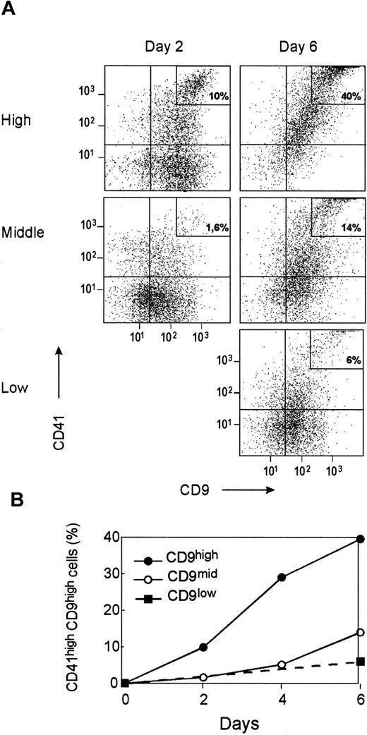 Fig. 5. Kinetics of CD41 acquisition and CD9 modulation in megakaryocytic liquid cultures. / CD34+CD41neg cells were sorted according to CD9 expression, as shown in Figure 3, and were cultured for 6 days under megakaryocytic liquid conditions as described in “Materials and methods.” (A) Kinetics of CD9 and CD41 expression in CD34+ cell subpopulations sorted according to CD9 expression (CD9low, CD9mid, CD9high) during a 6-day culture. (B) Evolution of the percentage of CD41highCD9high cells in the different cell fractions during the culture. Plots and curves are for one experiment representative of the 4 performed using different CD34+ bone marrow samples.