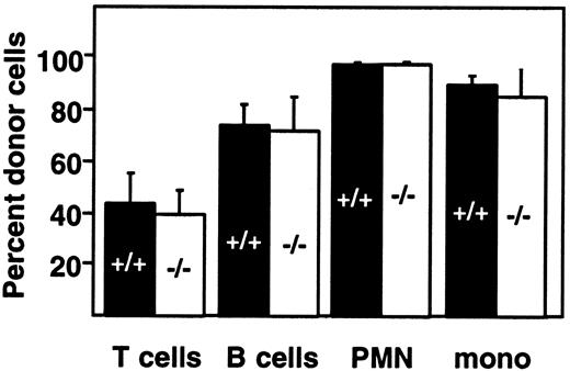 Fig. 4. Bone marrow from PDGF-B−/− chimeras can reconstitute the peripheral blood compartment of lethally irradiated recipients. / Marrow from first-generation PDGF-B+/+ and PDGF-B−/− chimeras was transplanted into lethally irradiated B6.Ly-5a recipients (PDGF-B+/+, n = 11; PDGF-B−/−, n = 12), and donor engraftment in second-generation chimeras was determined 28 days later.