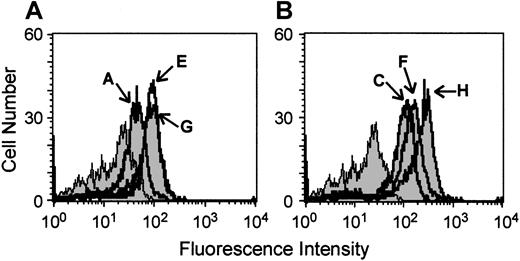 Fig. 1. High-level ABL expression in BCR-ABL-transfected cell lines used in these studies. / Fluorescence intensity profiles of parental FDC-P1 cells (shaded) and its derivative clones FDbcr210A, E, and G (solid lines, panel A) and FDrv210C, F, and H (solid lines, panel B). Cells were permeabilized and stained with an anti-ABL antibody detected by a fluorescein-labeled secondary antibody.