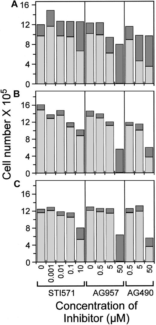 Fig. 4. Total cell number and viability following assays with 18-hour incubation in AG957, AG490, and STI571. / Total cell number shown as the sum of dead (darkly shaded column part) and viable (lightly shaded column part), for the concentrations of STI571, AG957, and AG490 shown. Assays started with 4 × 105 cells in 2 mL. (A) FDC-P1 cell in media + IL-3. (B) FDbcr210E cells in media + IL-3. (C) FDbcr210E cells in media without IL-3.