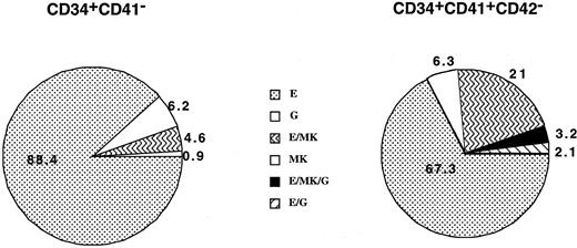 Fig. 3. Analysis of the cell composition of individual clones derived from the CD34+CD41− and CD34+CD41+CD42− cells derived from cord blood at day 11 of culture. / The results presented are those obtained from 4 independent experiments that have been pooled, representing analysis of 112 and 95 clones, respectively. Culture conditions were serum-free plus a combination of cytokines (PEG-rHuMGDF, SCF, Epo, G-CSF, IL-3, and IL-6). Only clones having more than 200 cells were analyzed on the expression of CD15, CD41, and GPA in triple-staining experiments by means of flow cytometry. Each cell type was identified on the basis of phenotypic and scatter properties.