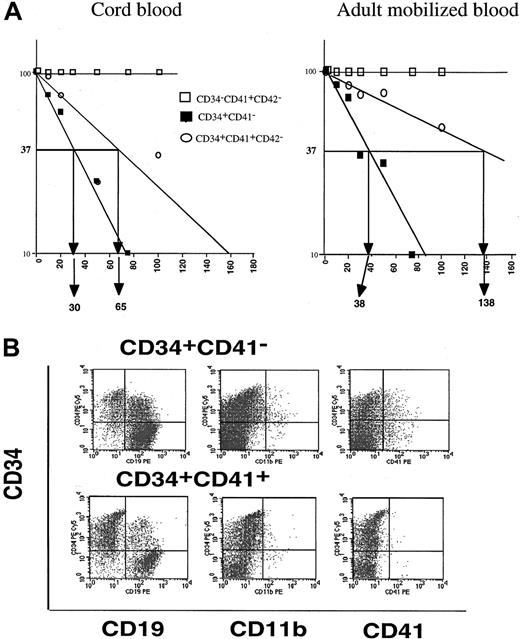 Fig. 4. Presence of primitive hematopoietic cells among CD41+ cells. / (A) LTC-IC assay. Proportion of negative wells in the LTC-IC assays at week 6. The frequency of LTC-ICs from cultured cord blood and adult mobilized CD34+ cells was calculated in the CD34+CD41−, CD34+CD41+CD42−, and CD34−CD41+CD42− cell fractions. (B) Phenotypic analysis of the human cells present in NOD-SCID cells 6 weeks after reconstitution with CD34+CD41− and CD34+CD41+ cells derived from cultured cord blood CD34+ cells. A triple staining was performed between a FITC anti-CD45 mAb, an R-PE-Cy5 anti-CD34 mAb, and R-PE anti-CD19, or CD11b or CD41 mAb. All these antibodies were human specific. The phenotype of human cells could be determined by gating cells on both their scatter properties and CD45 expression.