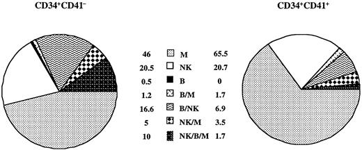 Fig. 5. Analysis of the progeny of single CD34+CD41− and CD34+CD41+ cell subpopulation from cultured blood cord cells. / Proportions were calculated as the percentage of clones containing 1, 2, or 3 lineages per total number of clones analyzed by triple staining in flow cytometry. Myeloid cells correspond to CD15+ cells, B cells to CD19+ cells, and NK cells to CD56+cells. The results are the sum of 2 independent experiments analyzed by flow cytometry representing 180 positive clones in 1068 plated wells for CD34+CD41− cells and 58 positive clones in 1080 plated wells for CD34+CD41+ cells.