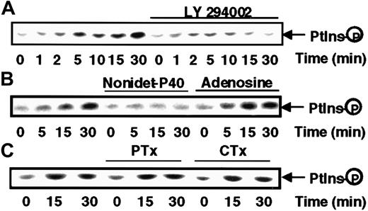 Fig. 5. s-FKN stimulates PI3K activity. / MonoMac6 cells, untreated or, as indicated in the figure, preincubated 2 hours with 10 μM LY294002 or 16 hours with 100 ng/mL pertussis toxin (PTX) or 4 hours with 10 μg/mL cholera toxin (CTX), were exposed to 60 nM s-FKN following different time courses. Cell lysates were immunoprecipitated with antiphosphotyrosine monoclonal antibody and immune complexes were analyzed for PI kinase activity in the absence (A,C) or presence of 0.2% Nonidet-P40 or 200 μM adenosine (B). The results are representative of 2 experiments.
