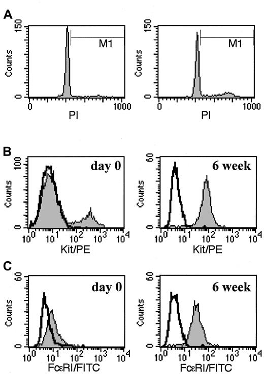 Fig. 3. Cell cycle and surface phenotype of skin-derived mast cells. / (A) Relative DNA content of skin-derived mast cells after about 4 weeks of culture in AIM-V media. Cells were incubated with 50 μg/mL PI for 10 minutes on ice just before (7 days after last rhuSCF feeding, left panel) and 24 hours (right panel) after a rhuSCF feeding, and analyzed by flow cytometry. (B) Surface Kit+ mast cells 1 day after their initial dispersion (left panel) and 7 days after rhuSCF feeding of cells grown in AIM-V suspension culture for 6 weeks (right panel). (C) FcεRI surface expression of Kit+ cells 1 day after their initial dispersion (left panel) and 7 days after rhuSCF feeding of cells grown in AIM-V suspension culture for 6 weeks (right panel). Shaded areas in panels B and C show anti-FcεRI and anti-Kit labeling, respectively; bold lines indicate negative IgG controls. Each panel is representative of 3 separate experiments.