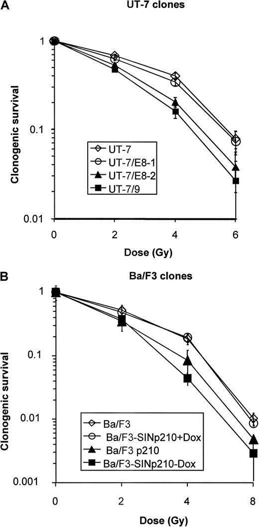 Fig. 6. Clonogenic survival curves. / (A) Human UT-7 cells: UT-7, open squares; UT-7/E8-1, open circles; UT-7/E8-2, closed triangles; UT-7/9, closed squares. Both UT-7/E8-2 and UT-7/9 expressing high levels of BCR-ABL exhibited lower clonogenic survival (ie, increased radiosensitivity) than low BCR-ABL expressing UT-7/E8-1 and the parental UT-7 cells after 2, 4 and 6 Gy. (B) Murine BaF3 cells: Ba/F3 NT, open squares; Ba/F3 p210C3, closed triangles; Ba/F3 p210 inducible with doxycycline, open circle; Ba/F3 p210 inducible without doxycycline, closed square. The tet-inducible BCR-ABL SIN-p210 cells were grown in the presence of IL-3 (10% WEHI) with or without doxycycline (1 μg/mL). Cells were irradiated in exponential phase and plated in methylcellulose as described above, in the presence of 10% WEHI. The clonogenic survival of Ba/F3 cells decreased in the presence of BCR-ABL expression, both in stable and inducible BCR-ABL transfectants.