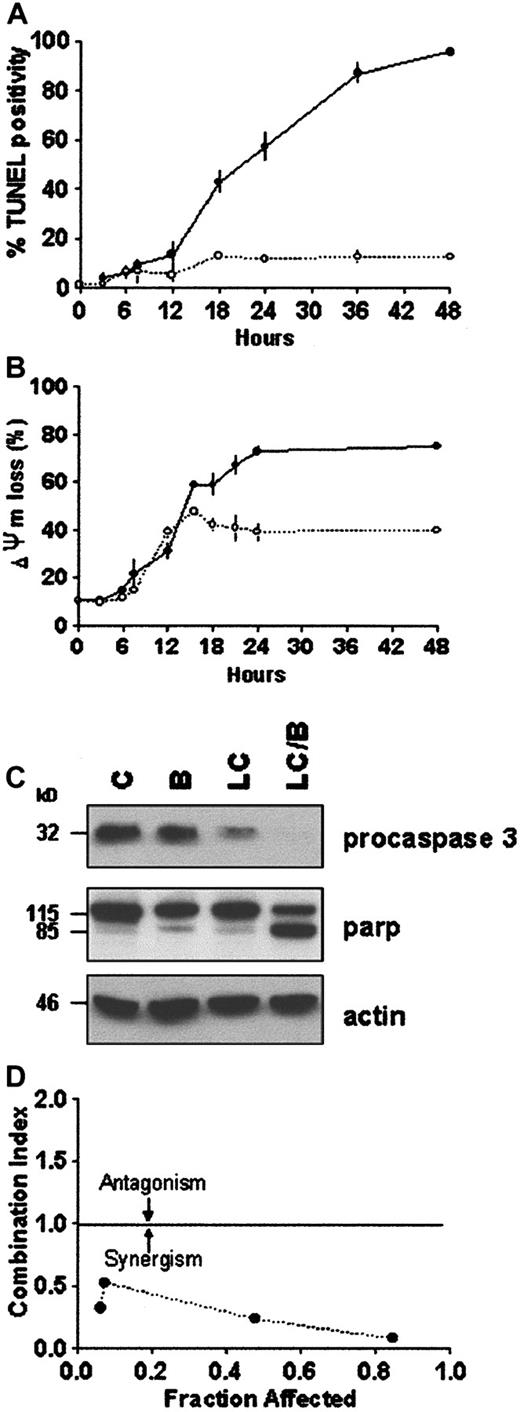 Fig. 2. BRY potentiates LC-induced apoptosis in U937 cells. / U937 cells (2 × 105 cells/mL) were exposed to 1 μM LC (○) and LC plus 10 nM BRY (●) for the indicated intervals. (A) DNA fragmentation was assessed by the percentage of cells exhibiting TUNEL positivity. (B) Cytotoxicity was measured by the percentage of cells exhibiting low levels of DiOC6, reflecting loss of mitochondrial membrane potential. Values represent means for triplicate experiments (± SEM). (C) Western blots illustrating degradation/activation of procaspase 3 and PARP cleavage in extracts from treated cells. (D) Morphologic evidence of apoptosis (monitored at 24 hours) were used as the end-point in conjunction with median dose effect analysis to characterize drug interactions. Varying concentrations of LC (0.1-2 μM) and BRY (0.5-10 nM) at a fixed ratio (1:5) resulted in CI values less than 1. Values correspond to the results of a representative experiment.