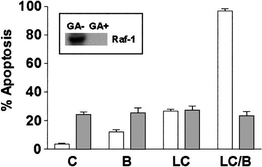 Fig. 7. Depletion of Raf-1 opposes LC/BRY-induced apoptosis. / U937 cells were exposed to 1 μM geldanamycin for 18 hours before the addition of either vehicle (C), BRY (B; 10 nM), LC (1 μM), or LC plus BRY (LC/B). Inset indicates the level of Raf-1 expression in cells after 18 hours and before drug treatments. The bar graph illustrates the extent of apoptosis at 24 hours after treatment as determined by morphologic analysis. Values represent the means for triplicate experiments (± SEM).
