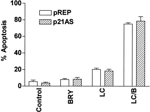 Fig. 10. The CDKI p21WAF1/CIP1 is not involved in LC/BRY-induced cell death. / A stable U937 cell line expressing an antisense p21WAF1/CIP1 construct (p21AS) or its empty vector control (pREP) was exposed to BRY (10 nM), LC (1 μM), or LC/B for 24 hours, after which apoptosis was determined by morphologic analysis. Values represent the means for triplicate experiments (± SEM).