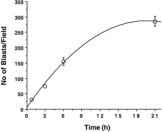 Fig. 2. Kinetics of leukemic blast cell adhesion to human vascular endothelium. / Blast cells (107 M5 AML) were cocultured with endothelial cell monolayers in 25-cm2 flasks. Numbers of adherent cells per field (0.08 mm2/field) counted at various time points are indicated by open circles. Results (mean ± SD) are representative of 3 similar experiments.