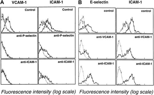 Fig. 5. Inhibition of endothelial cell adhesion receptor expression by adhesion-blocking mAbs against P-selectin, ICAM-1, and VCAM-1. / (A) Effect of mAbs directed against P-selectin (G1, 10 μg/mL) and ICAM-1 (HU 5/3, 10 μg/mL) on VCAM-1 and ICAM-1 expression after 6 hours of endothelial cell coculture with M2 AML blasts (107blasts/25-cm2 flasks). Endothelial cells were analyzed for VCAM-1 and ICAM-1 expression by flow cytometry. (B) Effect of mAbs directed against and VCAM-1 (HAE-3, 10 μg/mL) or ICAM-1 (HU 5/3, 10 μg/mL) on E-selectin and ICAM-1 expression after 6 hours of endothelial cell coculture with M5 AML myeloblasts (107blasts/25-cm2 flasks). Endothelial cells were analyzed for E-selectin and ICAM-1 expression by flow cytometry. Dotted lines indicate background staining of endothelium labeled with an unreactive isotype-matched mAb. Dashed lines indicate expression of ICAM-1 by unactivated endothelium.
