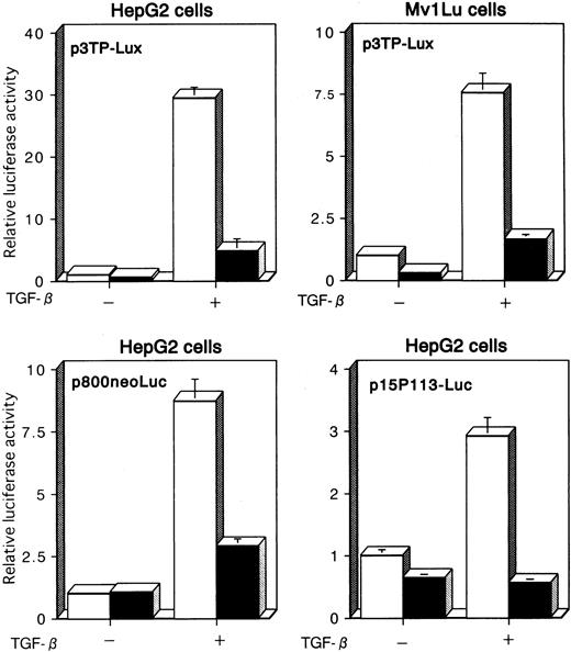 Fig. 1. TGF-β–mediated transcriptional responses are suppressed by Tax. / p3TP-Lux, p800neoLuc, or p15P113-Luc was cotransfected into HepG2 or Mv1Lu cells together with either pH2Rneo (■, −Tax) or pH2R40M (▪, +Tax). Cells were incubated for 24 hours in the presence or absence of 10 ng/mL TGF-β. Relative luciferase activities were measured in cell extracts, normalized to the renilla luciferase activity. Luciferase activity is presented as fold induction relative to the basal level measured in cells transfected with the reporter plasmid alone without further treatment. Data represent the mean ± SD from 3 separate experiments.