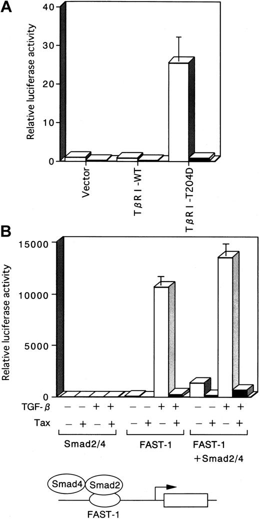 Fig. 4. TGF-β activation of Smad-responsive reporters is inhibited by Tax. / ■, −Tax; ▪, +Tax. (A) Tax inhibits transcriptional activation induced by the constitutively active TβRI. Three micrograms pH2Rneo (−Tax) or pH2R40M (+Tax) was transfected with 5 μg TβRI-WT or TβRI-T204D into HepG2 cells. Luciferase activity derived from the cotransfected p3TP-Lux reporter construct is depicted. Luciferase activity is presented as fold induction relative to the basal level measured in cells transfected with p3TP-Lux alone. (B) TGF-β–dependent induction of the ARE is inhibited by Tax. HepG2 cells were transfected with the ARE-Lux reporter construct (1 μg), FAST-1 (1 μg), Smad2 (2 μg), Smad4 (2 μg), and 3 μg of either pH2Rneo (−Tax) or pH2R40M (+Tax), as indicated. Cells were incubated in the absence or presence of 10 ng/mL TGF-β, and the luciferase activity was analyzed. Luciferase activity is presented as in Figures 1and 3, except that the control was based on untreated Smad2/4.