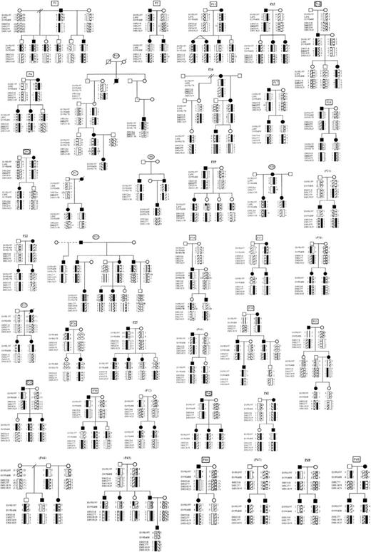 Fig. 1. Chromosomes 19q and 8p haplotypes. / Structure and affected status of 38 multiplex DBA pedigrees (P). Solid symbols represent affected individuals, question mark symbols (?) represent possibly affected family members, clear symbols represent unaffected individuals. Pedigree numbers are coded to indicate that data are consistent with linkage to 8p (rectangle), 19q (oval), 8p and 19q (rectangle + oval), or inconsistent with linkage to both 8p and 19q (bold underlined) or inconclusive (parentheses), assuming 100% penetrance. The most likely haplotypes for markers D19S197, D19S408, LIPE, D19S178 and D8S518, D19S277, D8S1819, D8S439, D8S1825, and D8S1130 were created by the Cyrillic program (version 2.1).