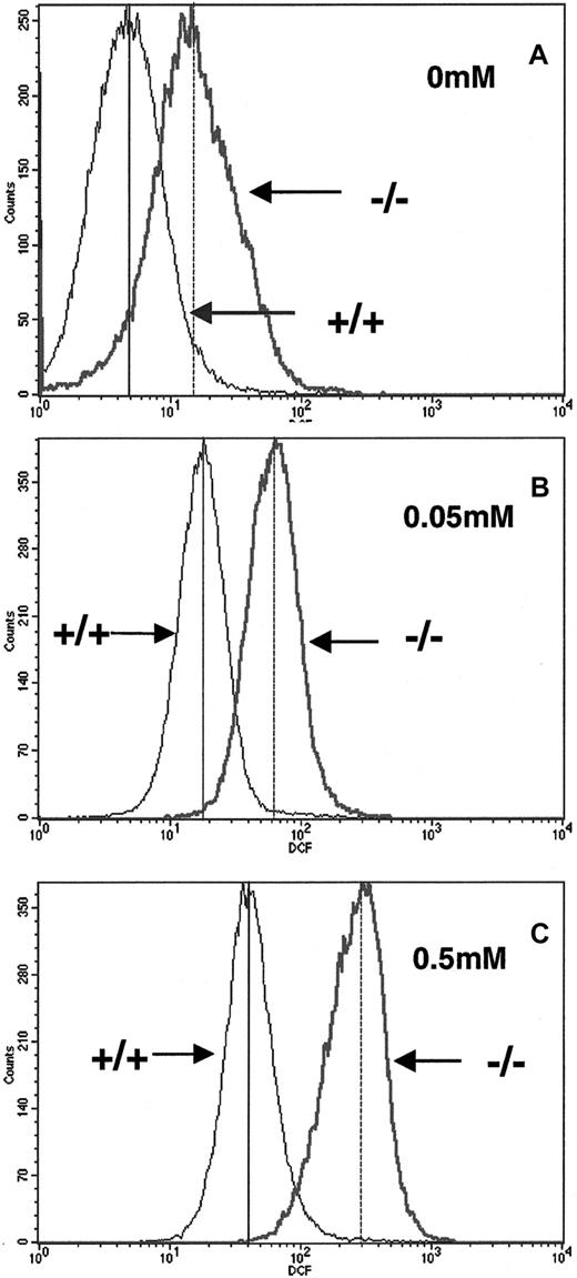 Fig. 1. Elevated reactive oxygen intermediates in RBCs from p45NF-E2–deficient mice. / Generation of reactive oxygen molecules was measured by intracellular oxidation of DCFHDA. Concentrations of H2O2used in treatment are indicated. Mean fluorescence levels for +/+ and −/− RBCs are indicated in each box by vertical solid and dotted lines, respectively.