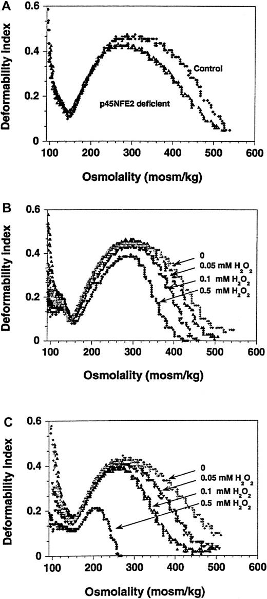 Fig. 3. Osmotic gradient deformability profiles show reduced deformability of p45NF-E–deficient RBCs. / Representative curves from analyses of RBCs from normal andp45nf-e2−/− mice are shown. (A) Untreated control and p45NF-E2 mutant RBCs. (B) Control RBCs treated with H2O2. (C) p45NF-E2 mutant RBCs treated with H2O2.