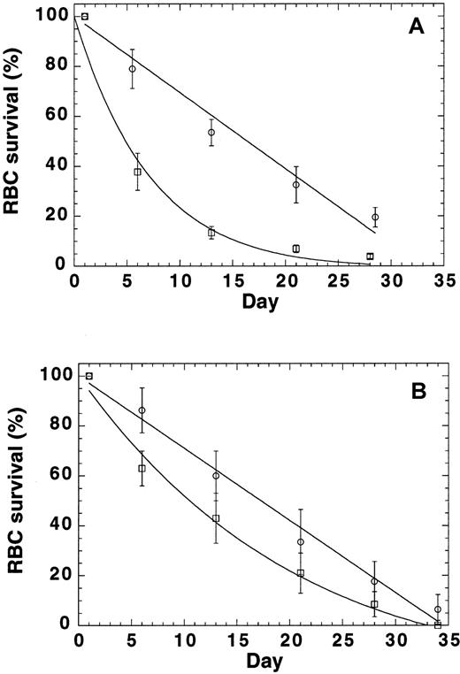 Fig. 5. RBC turnover in normal control mice and. / p45nfe2−/− mice.(A) RBCs were labeled by means of tail vein injection of biotin. At time zero, more than 95% of the cell population was biotinylated. The normalized number of biotinylated RBCs (± SD) as a function of time are shown for 4 control (circles) andp45nfe2−/− (squares) mice. (B) RBCs were collected from control andp45nfe2−/− mice, biotinylated, and reinjected into the tail vein of control mice. At time zero, 7% to 10% of the cell population was biotinylated. The normalized number of biotinylated RBCs (± SD) as a function of time are shown for control RBCs (circles) and p45nfe2−/− RBCs (squares) injected into 4 different control mice. The data were fitted to the following equation: percentage of biotinylated cells = (100−(100/T)*t) exp(−kt), in which T equals the time at which the average RBC leaves the circulation (mean potential lifespan), t equals the sample time in days, and k equals the rate of random removal.