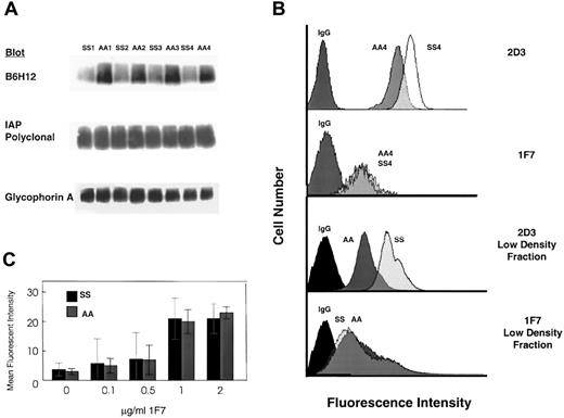Fig. 1. SS RBCs and AA RBCs express equivalent amounts of IAP, but SS RBC IAP is structurally different from that on AA RBCs. / (A) (top) Representative Western blots of RBC membranes (25 μg) from 4 separate SS (SS1-SS4) or AA (AA1-AA4) donors probed with B6H12 indicate that SS RBC membranes react poorly with this mAb against IAP (n = 14; 4 representative samples shown). B6H12 reacted relatively robustly with an approximately 52-kd band on prepared AA RBC membranes (n = 14; 4 representative samples shown). These results suggest that the SDS-denatured epitope for B6H12 is compromised on SS RBC IAP. Reprobing the previous blot with a pAb against IAP and quantification by densitometry detected equivalent amounts of IAP extracted from SS and AA RBC membranes (middle). This result suggests equivalent amounts of IAP in intact membranes prepared from each of the AA and SS samples. An mAb against glycophorin A also detected equivalent amounts of this cell surface receptor extracted from AA and SS RBC membranes (bottom), further reinforcing equivalent protein extraction from both sets of prepared membranes. (B) An mAb against human IAP, 2D3, bound preferentially to whole RBCs prepared from SS, relative to AA RBCs (top). AA4 and SS4 are 2 of the donors identified in panel A. Similar results were obtained from the low-density fraction of SS RBCs (third panel), as indicated by the shift to the right in fluorescence intensity of the flow cytometry histograms. Immunostaining with 1F7, however, detected similar cell surface expression of IAP on SS and AA cells in the entire RBC population (second panel) and density fractionated RBCs from SS and AA samples (bottom). Each panel also contains a histogram from a sample treated with an isotype-matched control immunoglobulin G (IgG). Each histogram depicts 50 000 events and is representative of at least 2 separate samples. (C) Indirect immunofluorescence indicates that 1F7 bound to SS and AA RBCs equivalently at saturating concentrations of the antibody, further suggesting equivalent cell surface expression of IAP on SS and AA RBCs. Results were obtained from 50 000 events from 3 separate SS and AA donors and are shown (±SD) from mean fluorescence intensity.