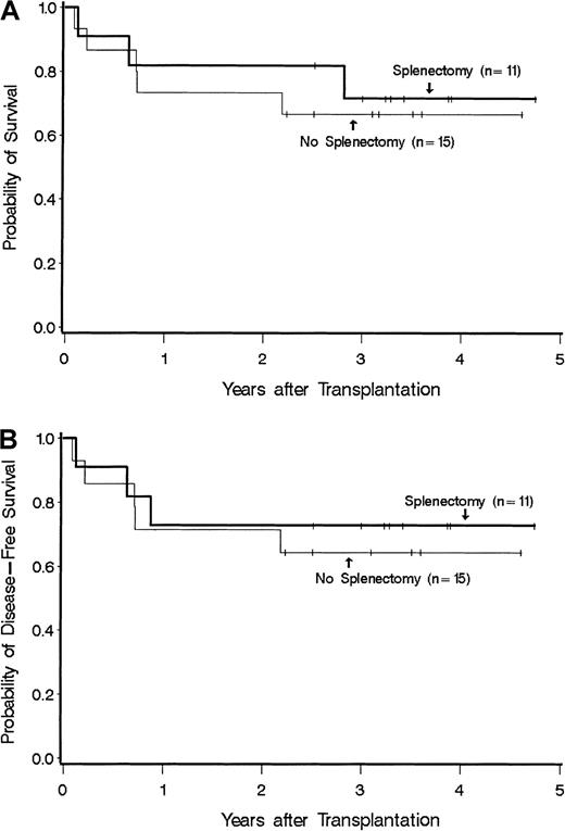 Fig. 1. Survival among splenectomized and nonsplenectomized patients who received a hemopoietic cell transplant for myelofibrosis. (A) Overall survival. (B) Disease-free survival.
