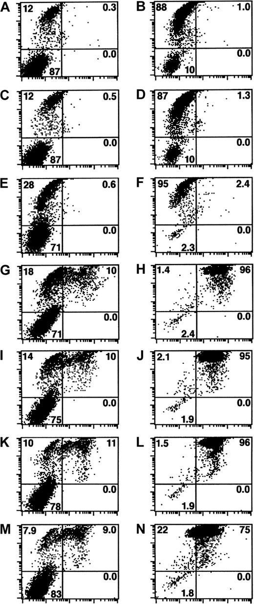 Fig. 1. Permeabilized cells nonspecifically bind PFN. / PI reactivity (y-axis) versus PFN reactivity (x-axis) of nonpermeabilized (left column of panels) and NP-40 permeabilized (right) Jurkat cells. PFN untreated cells that were exposed to isotype control mAb or anti-PFN mAb are shown respectively as panels A-B and C-D. Similarly manipulated subsets were treated with PFN containing YT granule extract for 1 hour (37°C) and stained with either control antibody (E-F) or anti-PFN antibody (G-N). The concentrations of PFN were 300 ng/mL (E-H), 150 ng/mL (I-J), 75 ng/mL (K-L), and 37.5 ng/mL (M-N). These concentrations were estimated based on densitometric calculations where granules from 106 YT cells yield approximately 3 ng of PFN. The resultant dot plots have intensity of PI reactivity on the y-axis (FL3) and PFN reactivity on the x-axis (FL1). Gates were established based on the antibody control groups (A-D) allowing the quadrants to be defined as follows: upper left, PI+ PFN−; upper right, PI+PFN+; lower left, PI−PFN−; and lower right, PI− PFN+. The percentage of events in each quadrant is provided.