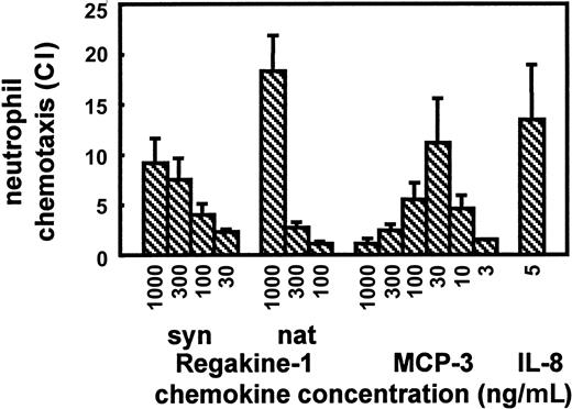 Fig. 5. Neutrophil chemotactic activity of synthetic Regakine-1. / Pure natural Regakine-1 (Figure 1) was compared with chemically synthesized and purified Regakine-1, synthetic human MCP-3,16 and human IL-812 for chemotactic activity on human peripheral blood neutrophils. Results represent the mean CI (± SEM) of at least 3 independent experiments in the microchamber migration assay.
